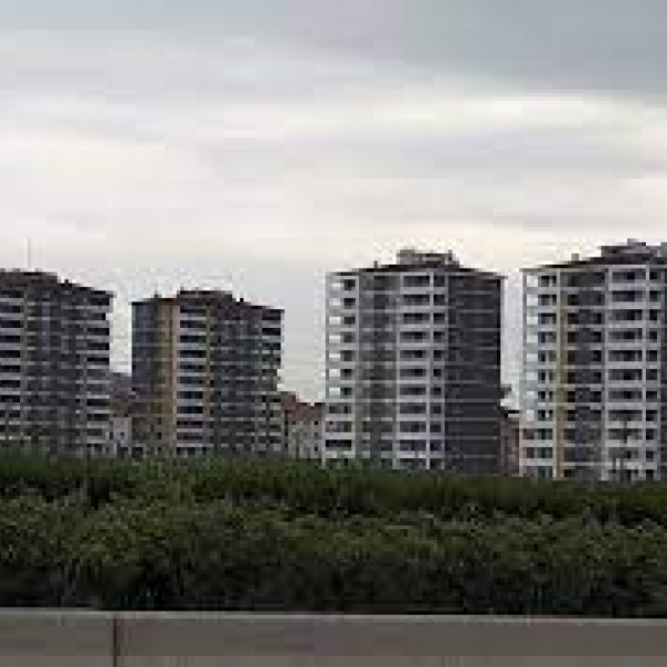 gezer--1-2.jpg